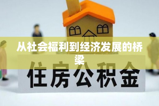 尚志从社会福利到经济发展的桥梁