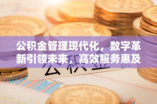 尚志公积金管理现代化，数字革新引领未来，高效服务惠及民生