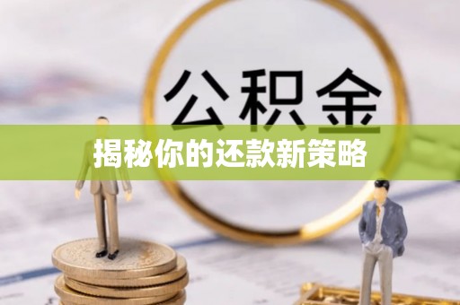 尚志揭秘你的还款新策略
