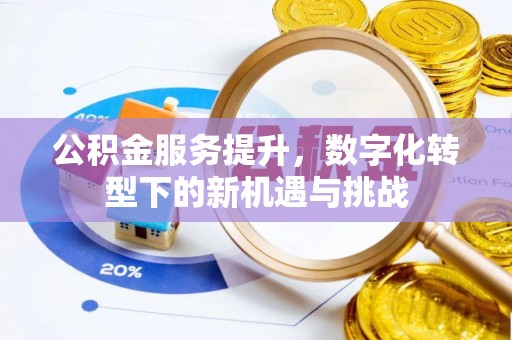 尚志公积金服务提升，数字化转型下的新机遇与挑战