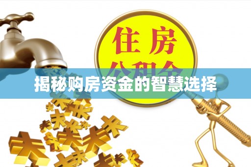 尚志揭秘购房资金的智慧选择