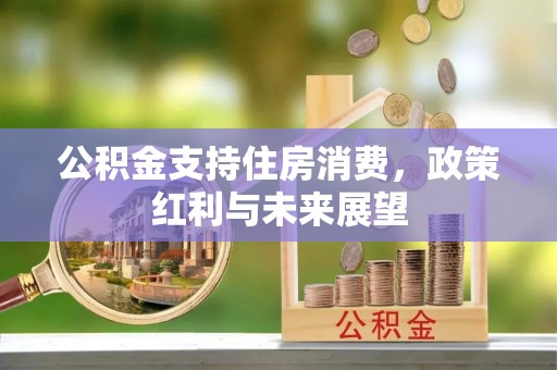 尚志公积金支持住房消费，政策红利与未来展望