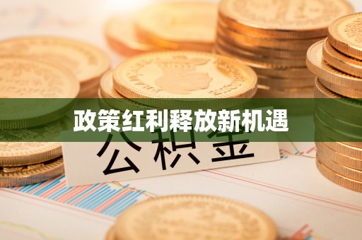 尚志政策红利释放新机遇