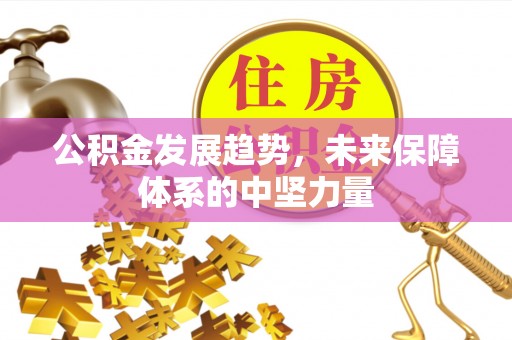 尚志公积金发展趋势，未来保障体系的中坚力量