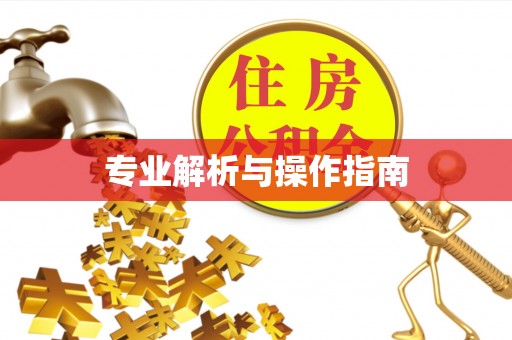 尚志专业解析与操作指南