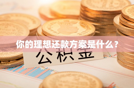 尚志你的理想还款方案是什么？