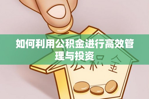 尚志如何利用公积金进行高效管理与投资